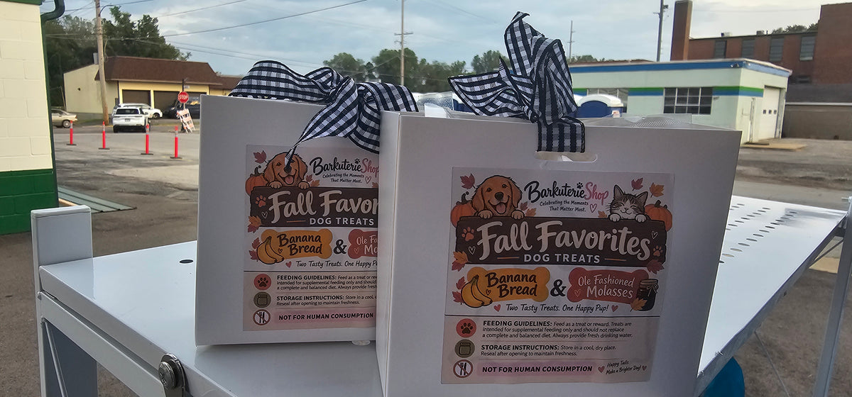 Fall Favorites